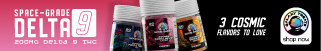 spot_img
